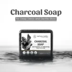 Neel Ayurvedics Soap – Box1