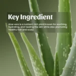 Neel Ayurvedics Aloevera Gel Mockup 1 (7)