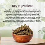 Tagar-Powder-Mockup