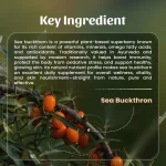 Neel-Ayurvedics-Sea-buckthorn-Powder-Mockup