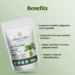 Neel-Ayurvedics-Papaya-Leaves-Powder-1