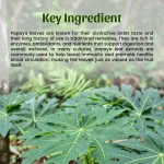 Neel-Ayurvedics-Papaya-Leaves-Powder-1