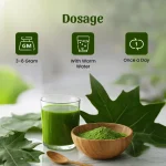 Neel-Ayurvedics-Papaya-Leaves-Powder-1